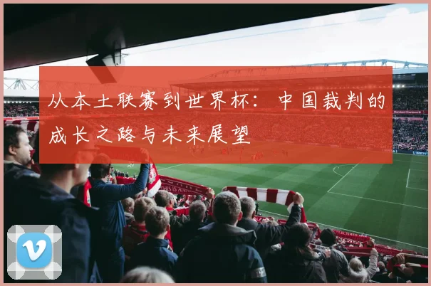 从本土联赛到世界杯：中国裁判的成长之路与未来展望