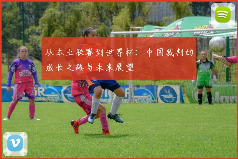 从本土联赛到世界杯：中国裁判的成长之路与未来展望